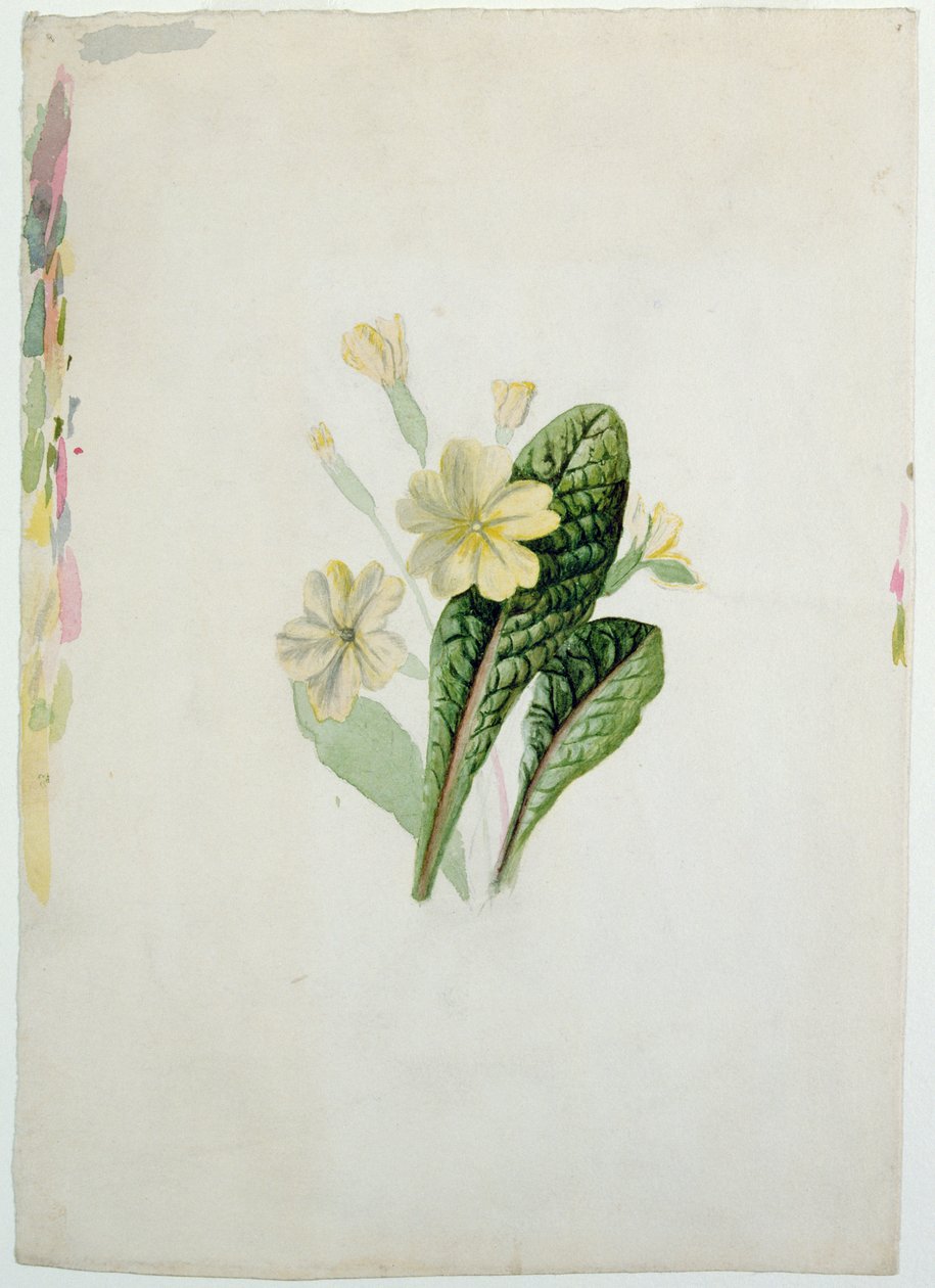 Tutkimus esikoista, n. 1830 (wc paperilla) tekijältä Charlotte Bronte