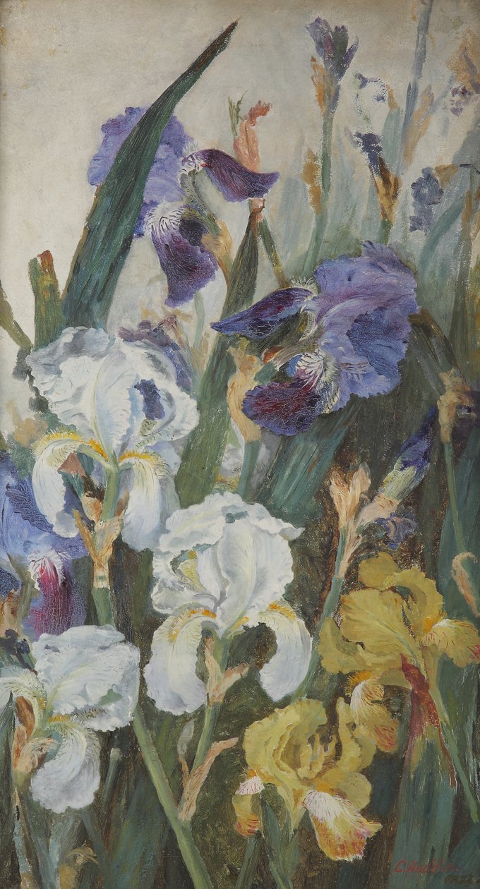 Irikset, 1882 tekijältä Charlotte Hodder
