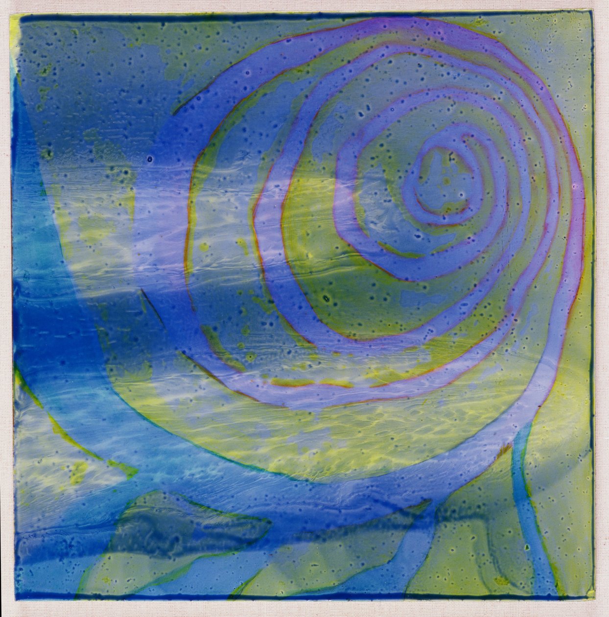 Boodhoo Lagoon, 2000 (öljy gessoon) tekijältä Charlotte Johnstone