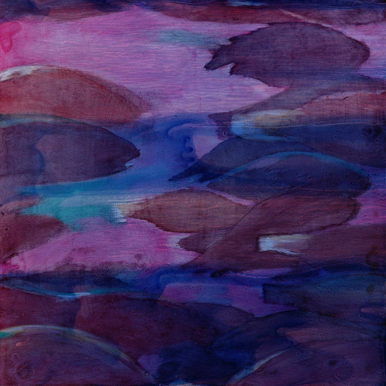 Purple Parrots VI, 2000 (öljy gessoon) tekijältä Charlotte Johnstone
