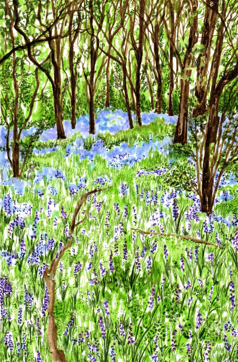 Bluebells, 2021 tekijältä Charlotte Orr