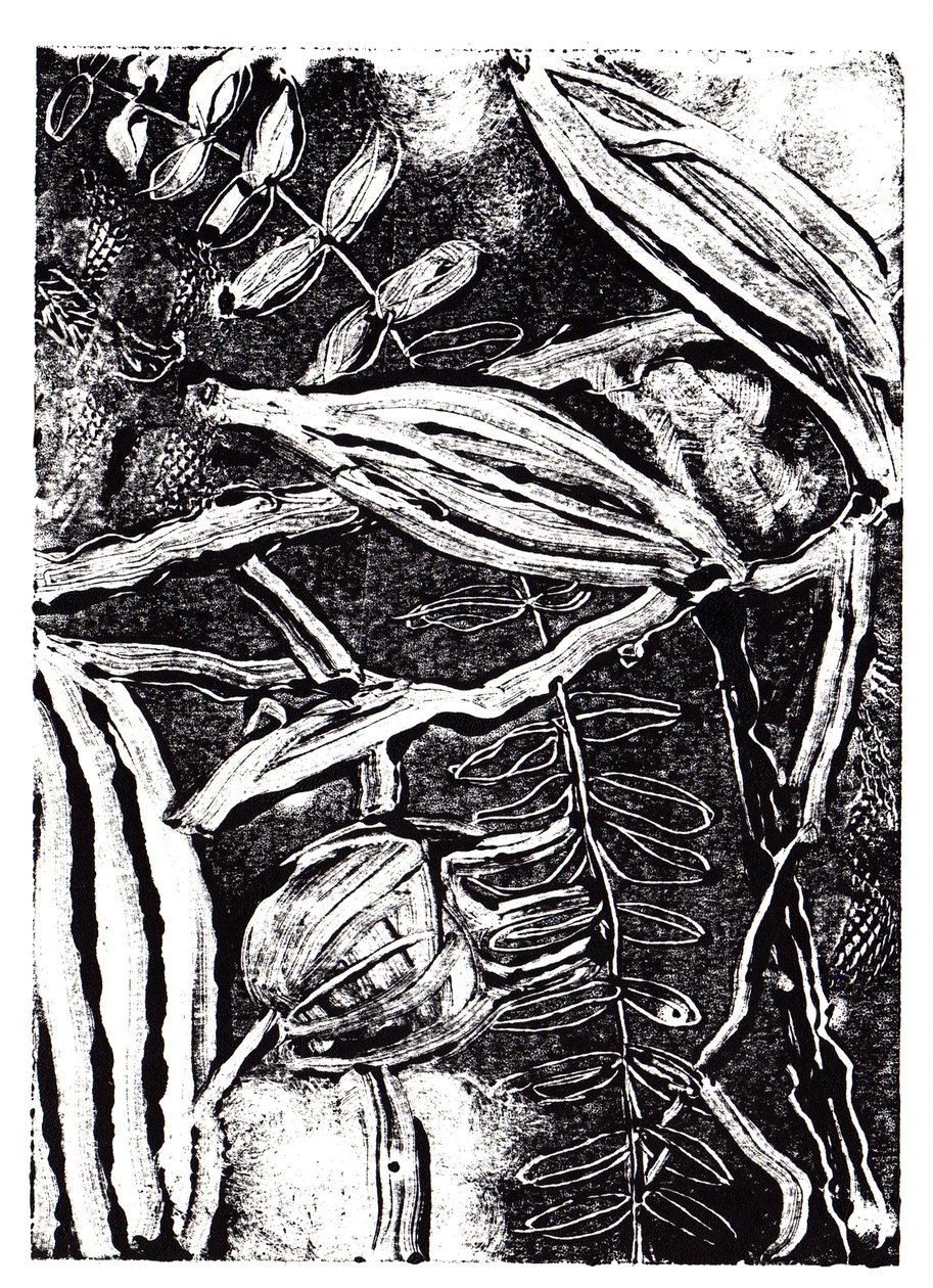 Inky Plants, 2019 (monoprintti) tekijältä Charlotte Orr