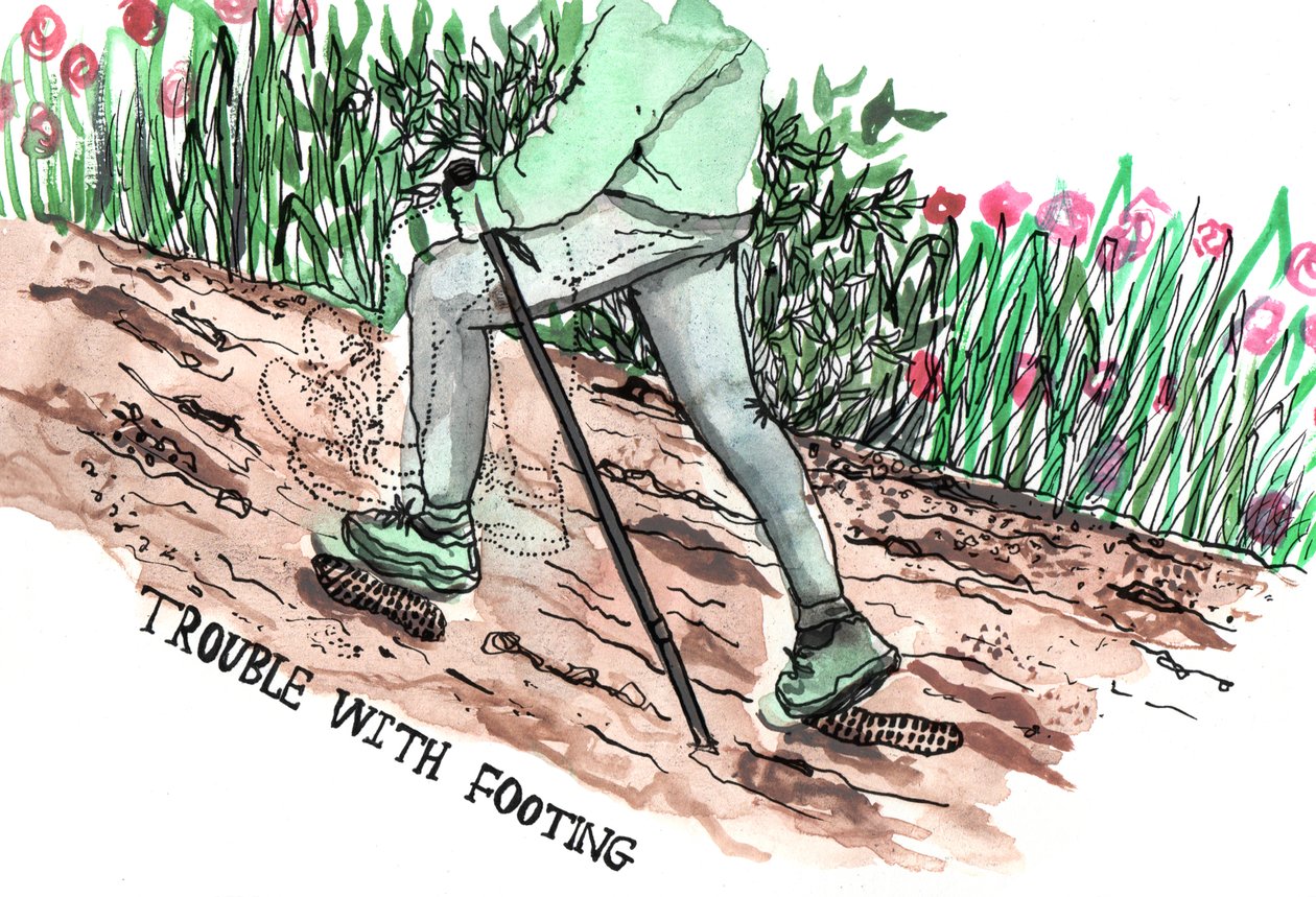 Parkinsons Illustrations, 2019 (muste ja akvarelli) tekijältä Charlotte Orr