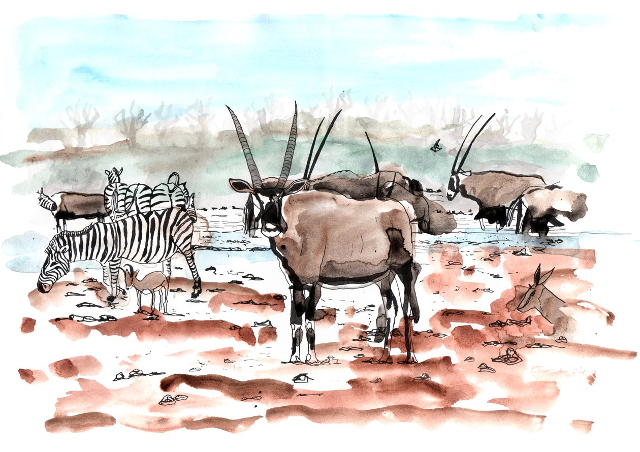 Safari, 2018 (muste ja akvarelli) tekijältä Charlotte Orr