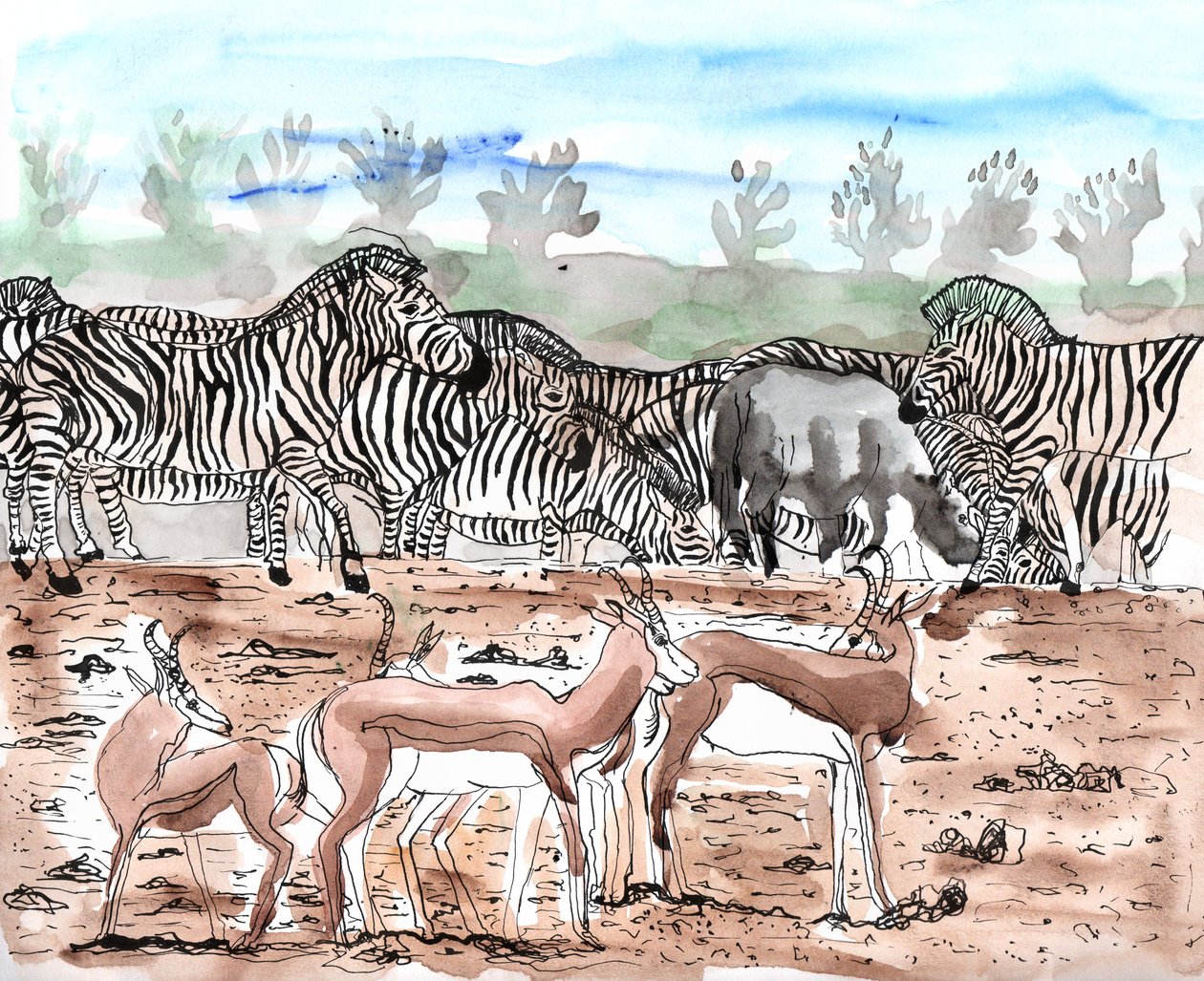 Safari 3, 2018 (muste ja vesiväri) tekijältä Charlotte Orr