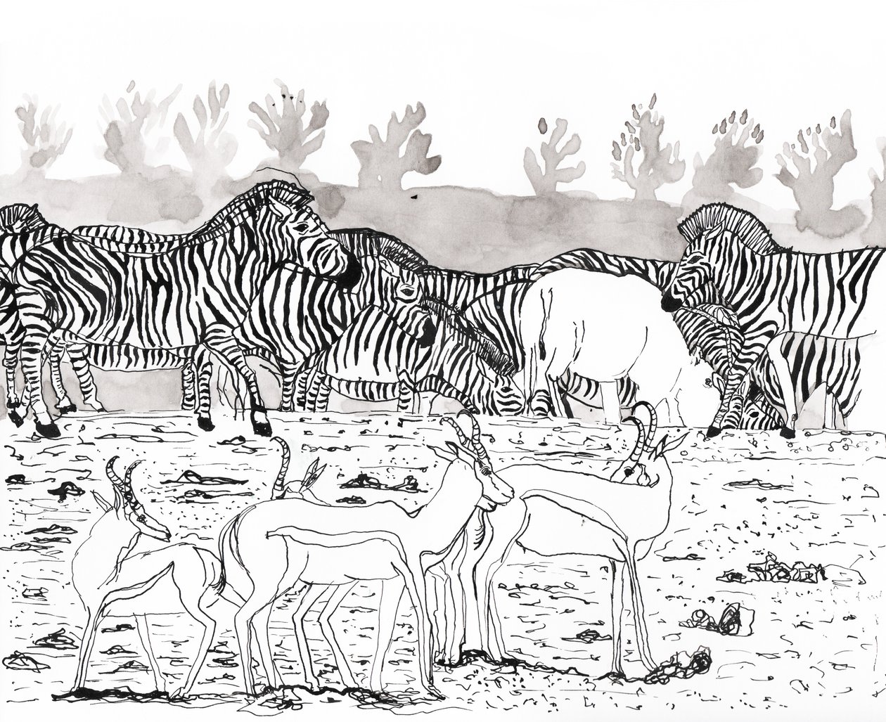 Safari 3, 2018 (muste ja vesiväri) tekijältä Charlotte Orr