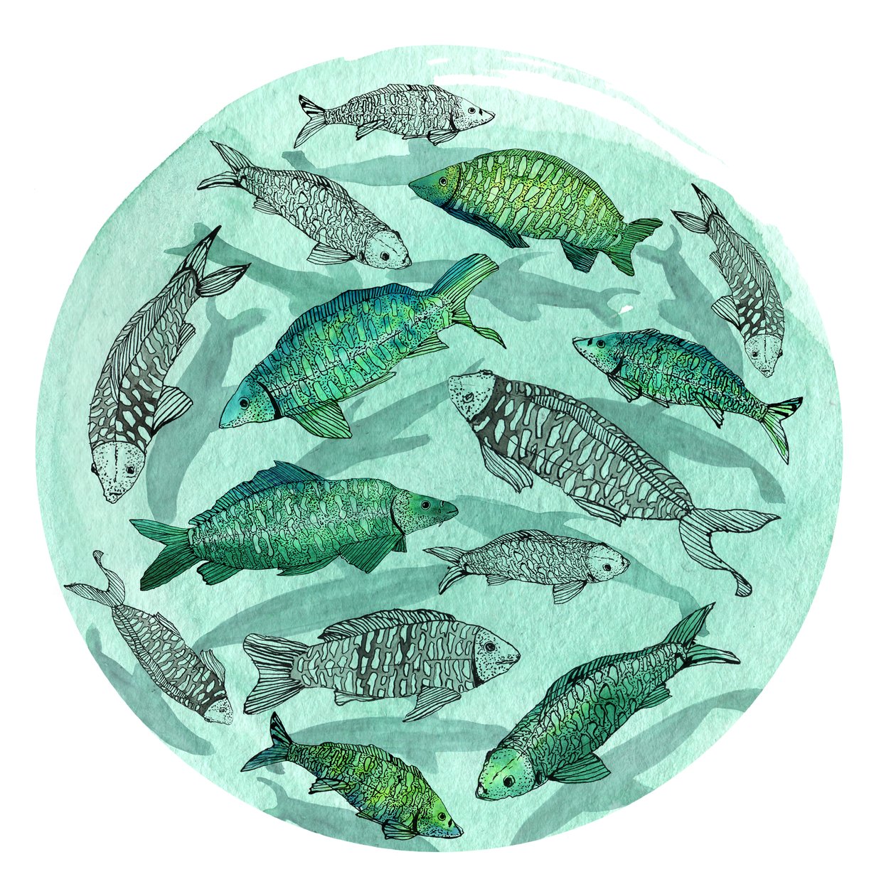 Small Fish Big Pond, 2018 (kynä ja muste, akvarelli ja digitaalinen) tekijältä Charlotte Orr