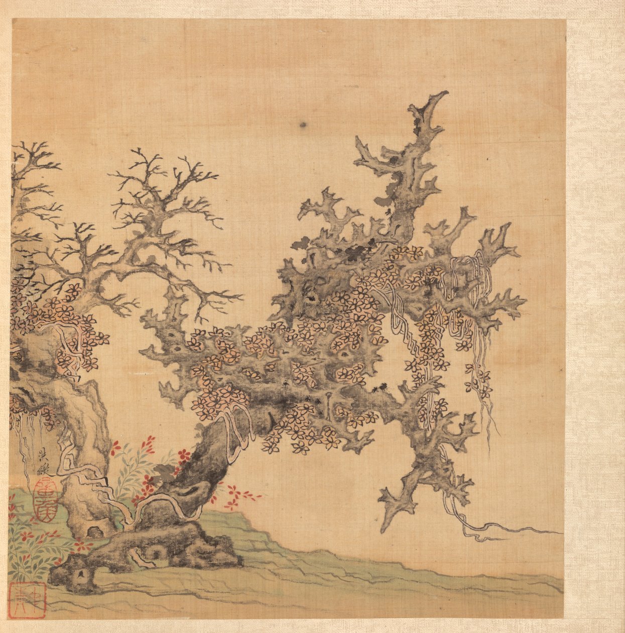 Maalauksia muinaisten mestareiden mukaan: Muinainen puu, 1598-1652. tekijältä Chen Hongshou