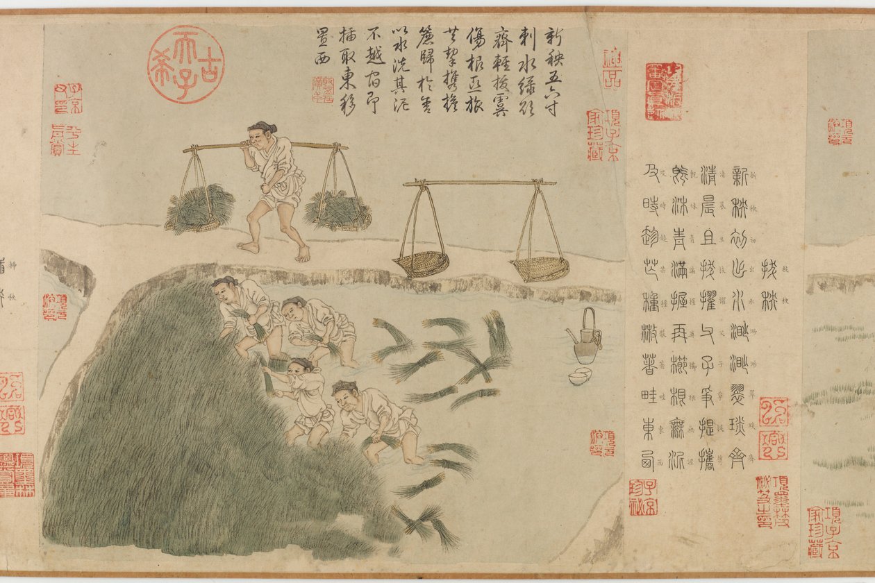 Tilling Rice, Yuan-dynastia (muste ja väri paperille) tekijältä Cheng Qi