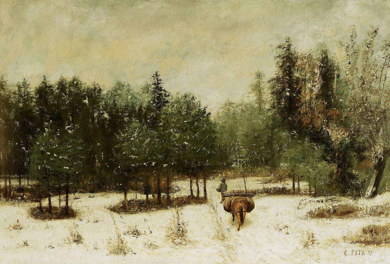 Sisäänkäynti metsään talvella. Lumiefekti, 1873 tekijältä Cherubino Pata