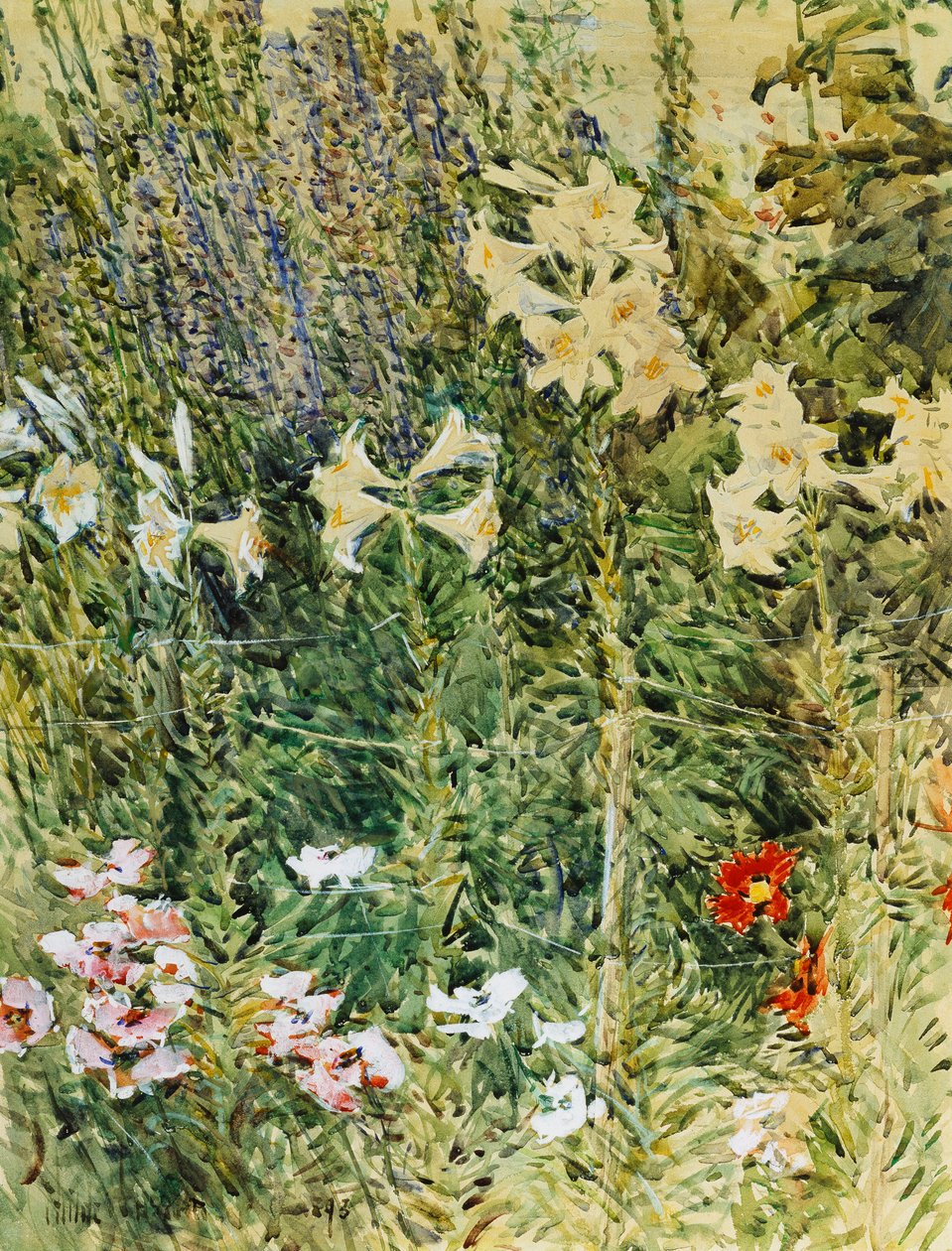 Larkspurs ja Lillies tekijältä Childe Frederick Hassam