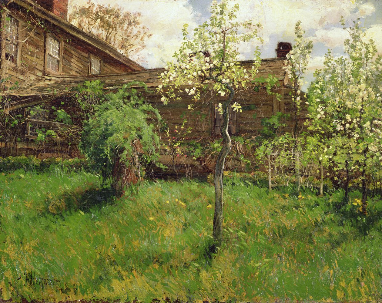 Vanha talo, Dorchester tekijältä Childe Frederick Hassam