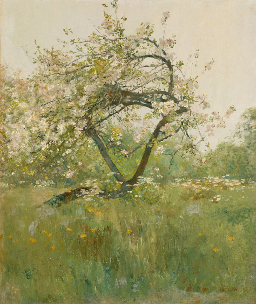 Peach Blossoms, Villiers-le-Bel tekijältä Childe Frederick Hassam