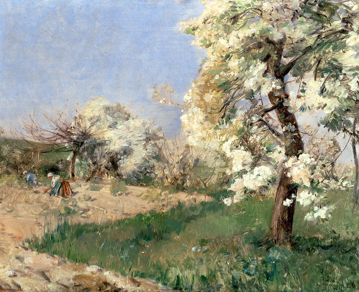 Päärynäkukat, Villiers-de-Bel (öljy paneelille) tekijältä Childe Frederick Hassam