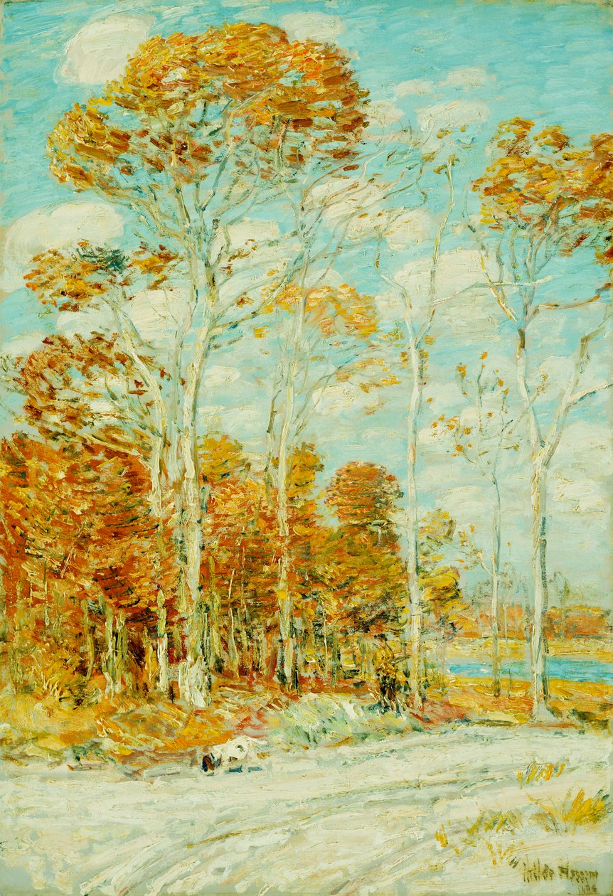 Haukan pesä tekijältä Childe Frederick Hassam