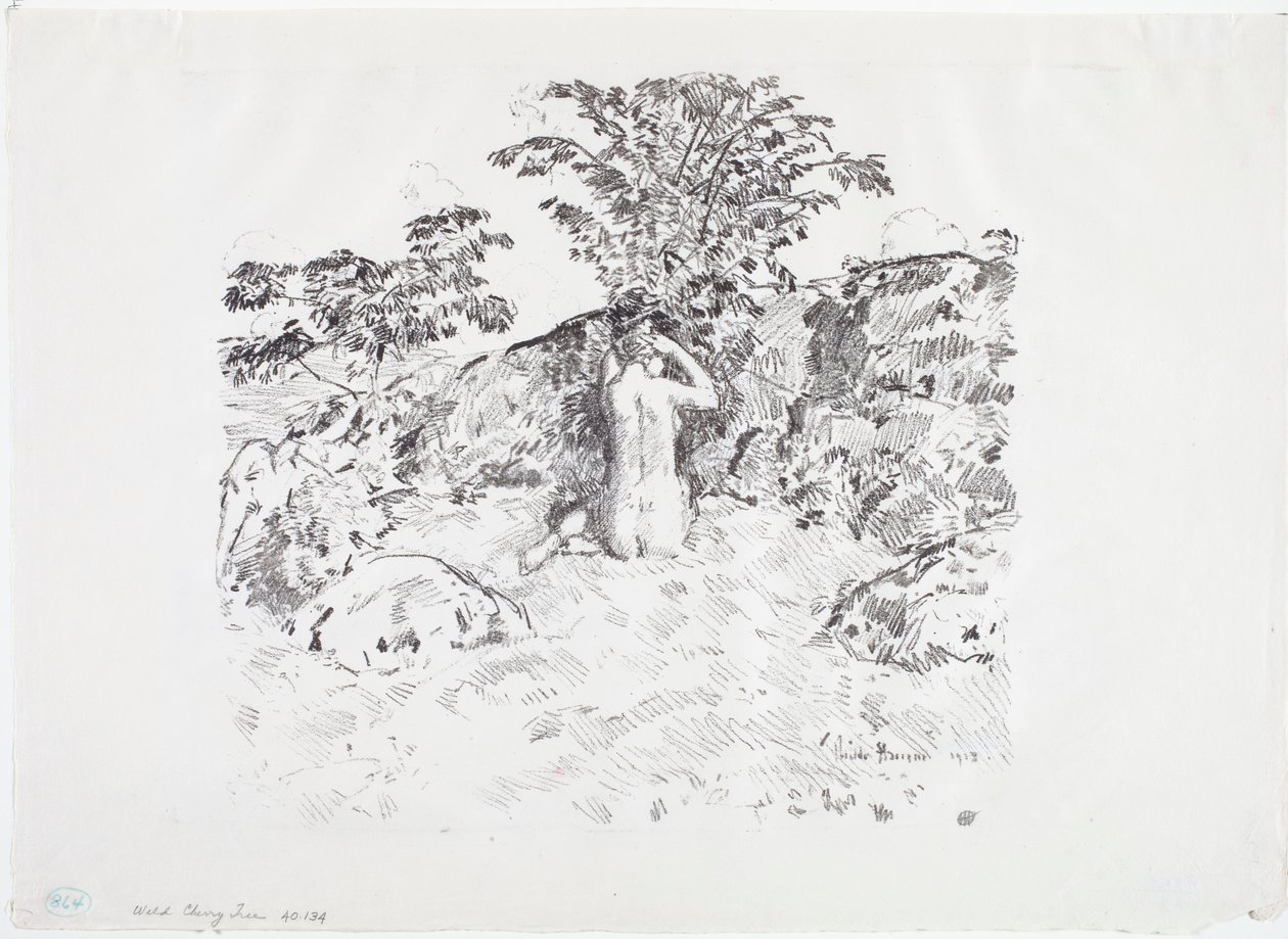Villikirsikkapuu tekijältä Childe Frederick Hassam