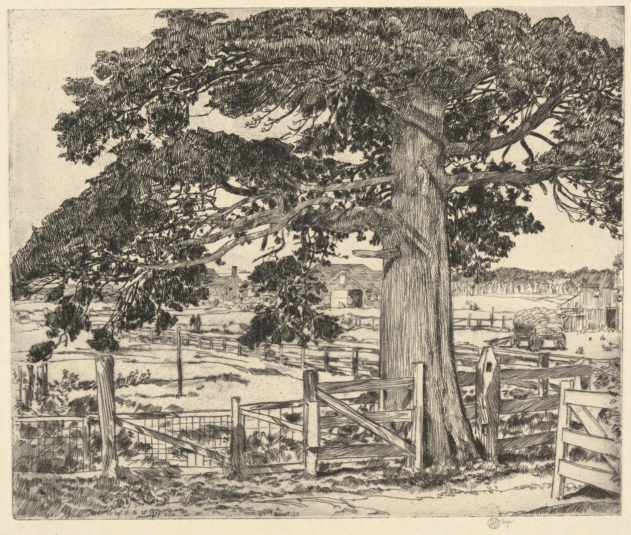 Big Cedar, Wainscott, L. I., 1929 tekijältä Childe Hassam