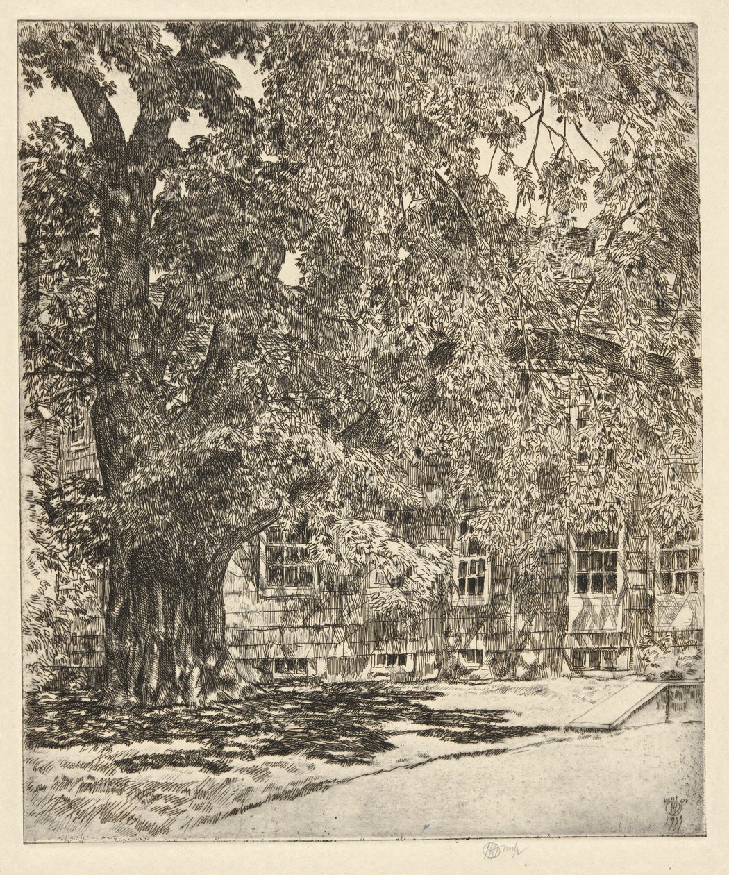 Jättiläinen jalava, 1929 tekijältä Childe Hassam