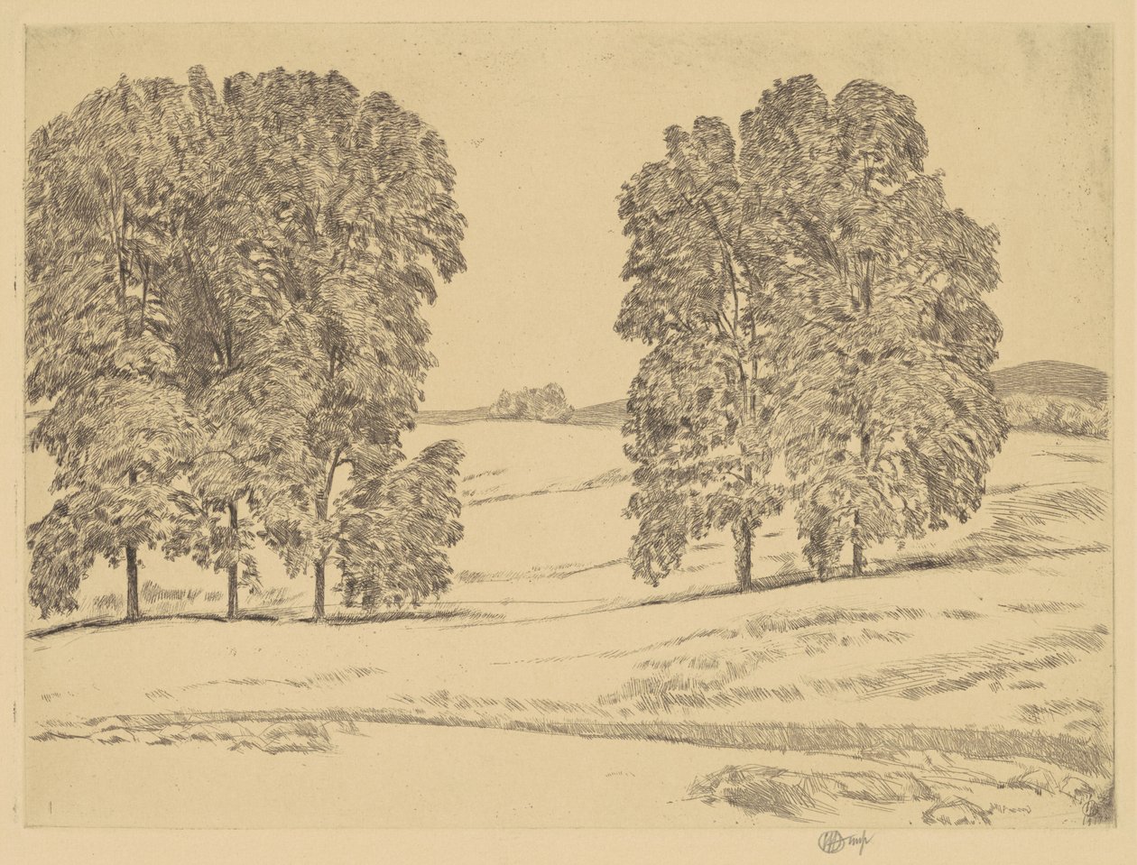 Hickoriat heinäpellolla tekijältä Childe Hassam