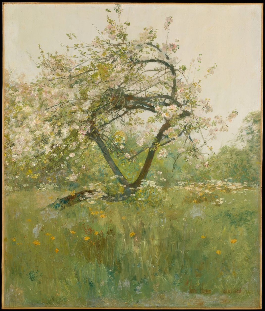 Peach Blossoms - Villiers-le-Bel tekijältä Childe Hassam
