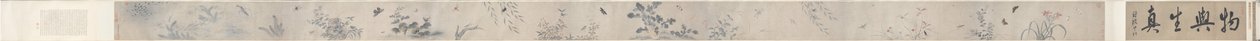 Hyönteiset ja kukat tekijältä China, Qing dynasty