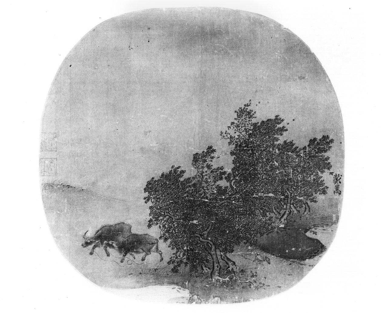 Maisema vesipuhvelin kanssa, Song-dynastia (960-1279) (maalattu silkki) tekijältä Chinese School