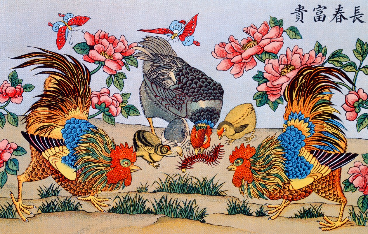 Kukko tappaa tuhatjalkaa, kuvitus teoksesta Research on taikauskosta Kiinassa, julkaissut Shanghaissa Imrimerie de la Mission Catholique, 1929 tekijältä Chinese School