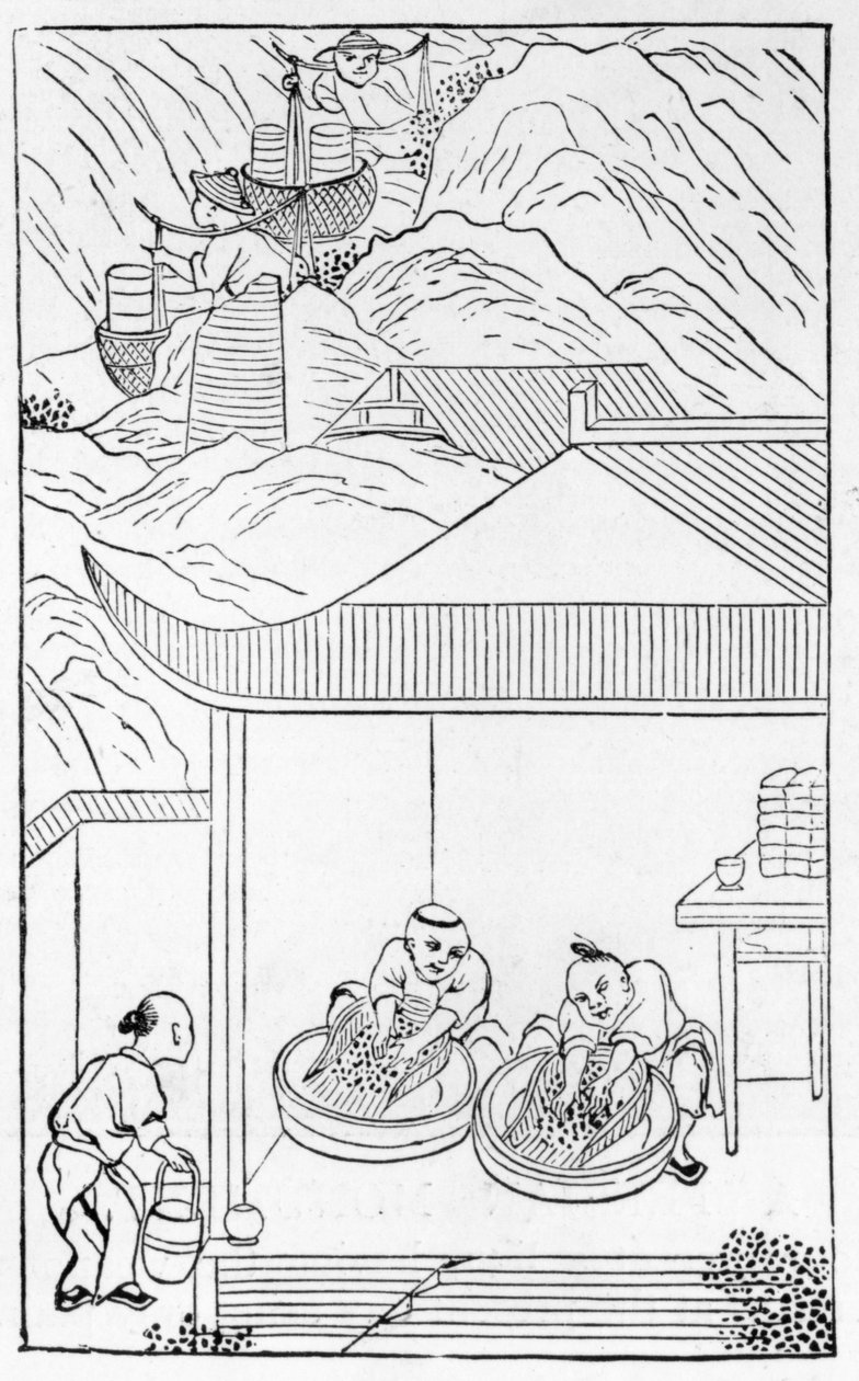 Sinisen emalin kerääminen ja pesu värjäystä varten, sarjasta posliinin valmistusta (katso koko sarja 384116 & 384117) tekijältä Chinese School