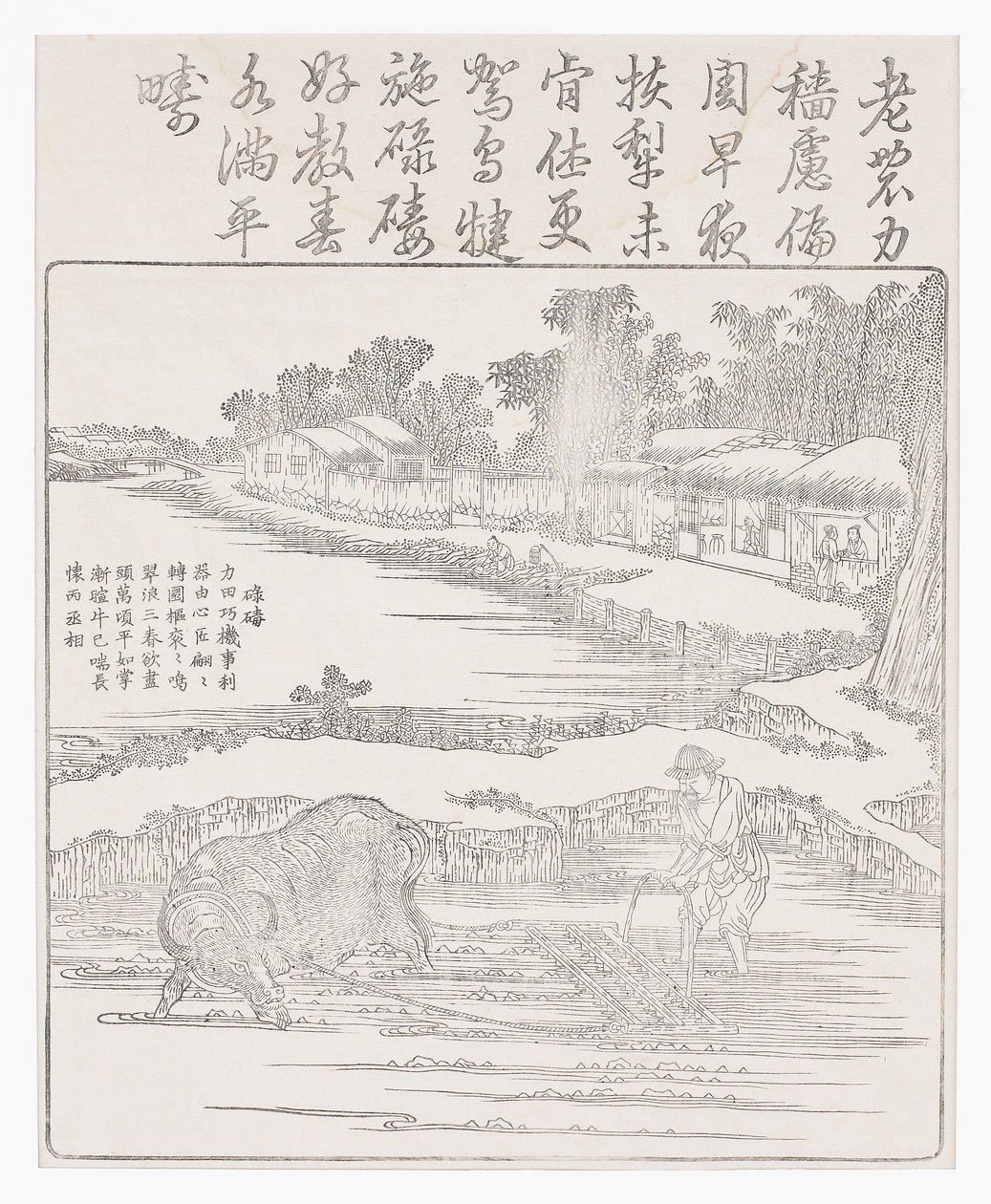 Riisipellon riipaiseminen, 1700-luku tekijältä Chinese School