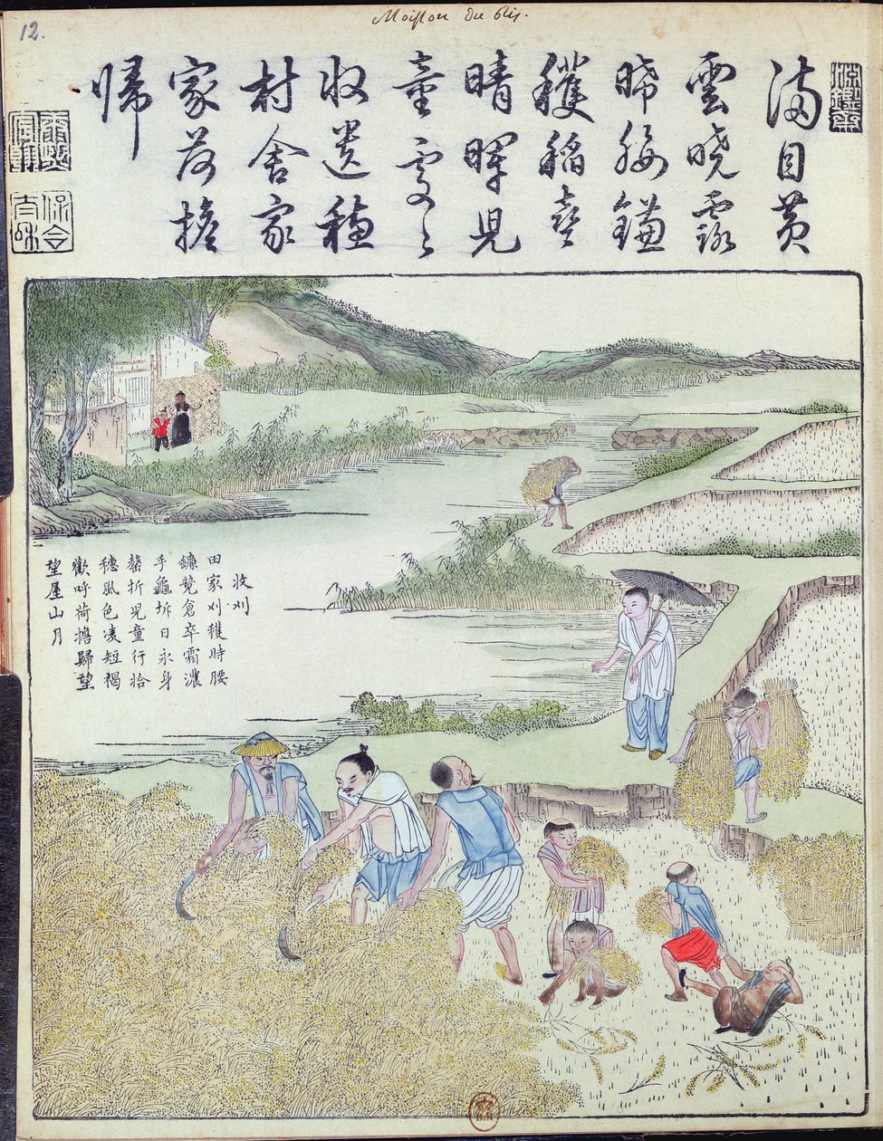 Harvest, riisikulttuuri Kiinassa (värillinen puupainatus) tekijältä Chinese School