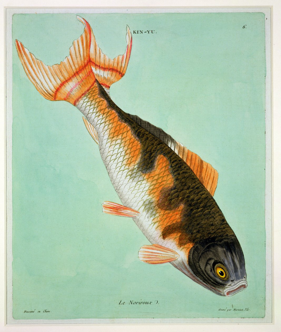 Le Noriroux, kaiverrus Francois Nicholas Martinet (1731-s.1796) (painettu) tekijältä Chinese School