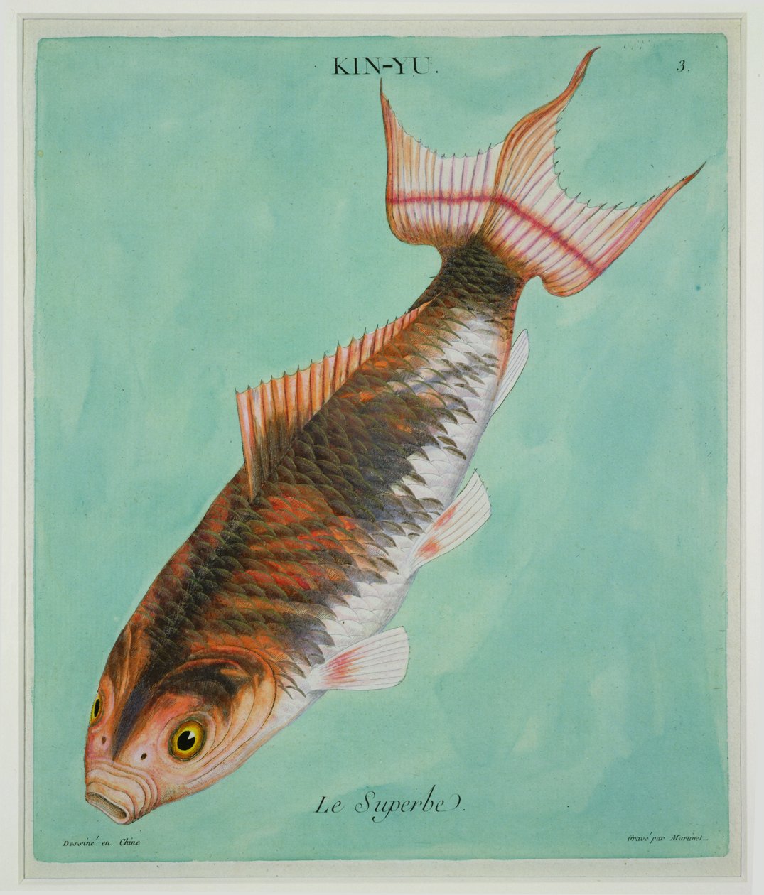 Le Superbe, kaiverrus Francois Nicholas Martinet (1731-s. 1796) (painettu) tekijältä Chinese School