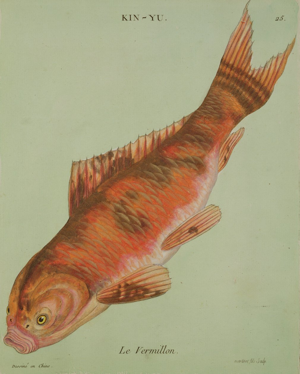 Le Vermilion, kaiverrus Francois Nicholas Martinet (1731-s.1796) (painettu) tekijältä Chinese School