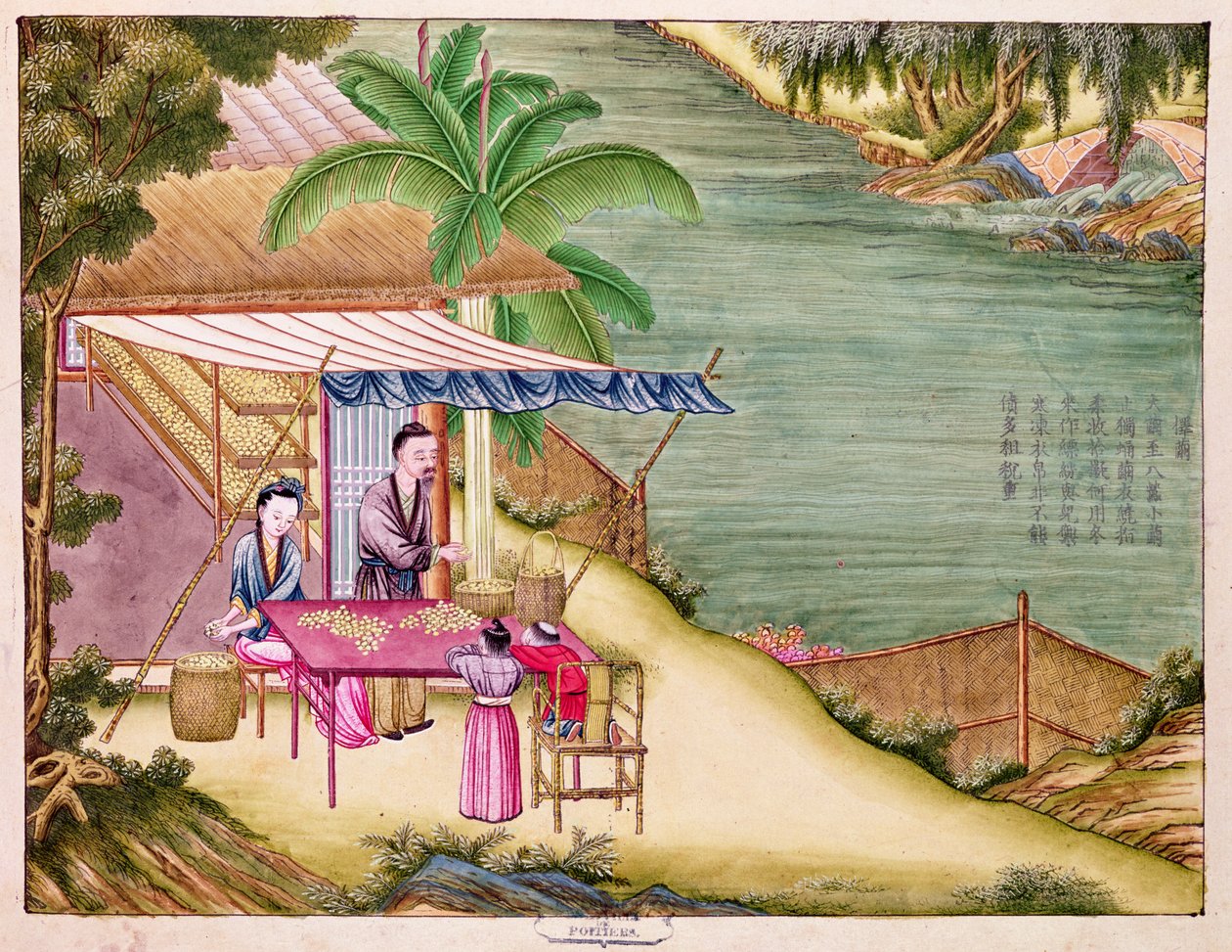 Ms 202 f.6 Kookonien lajittelu, silkkiteollisuutta käsittelevästä kirjasta (wc paperilla) tekijältä Chinese School