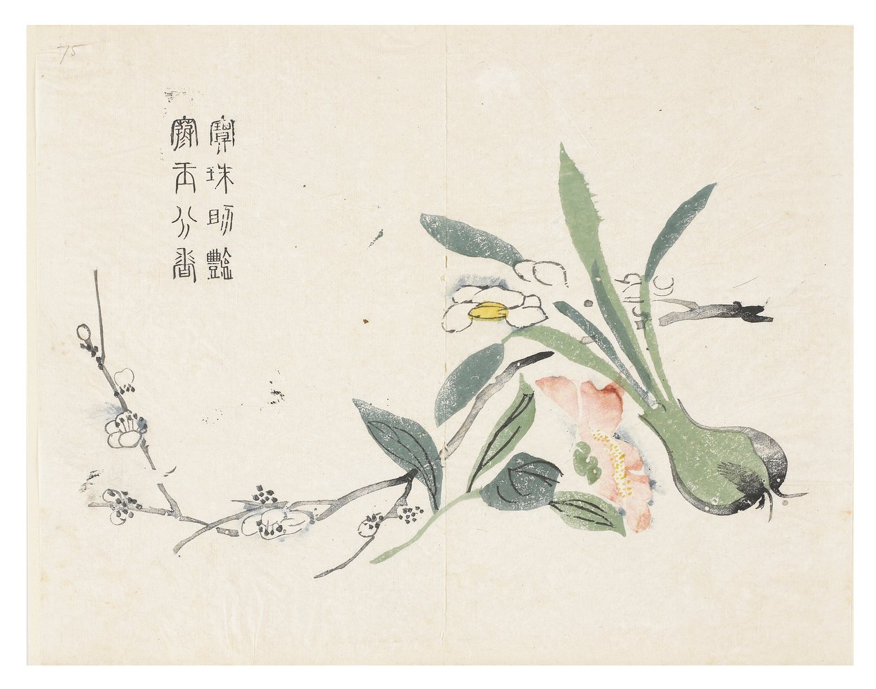 Sinapinsiemenpuutarha tekijältä Chinese School