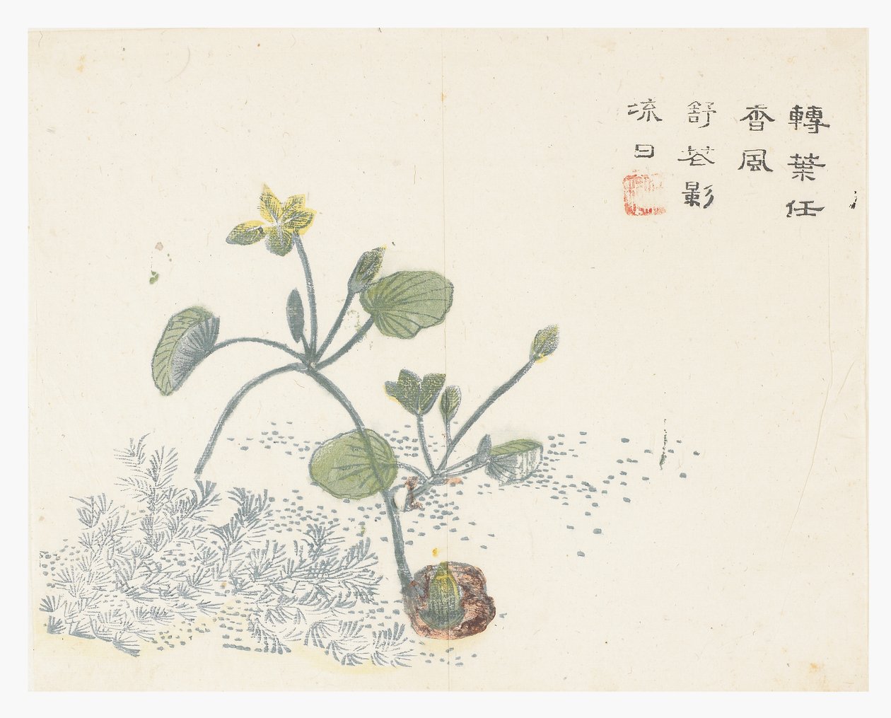 Sinapinsiemenpuutarha tekijältä Chinese School