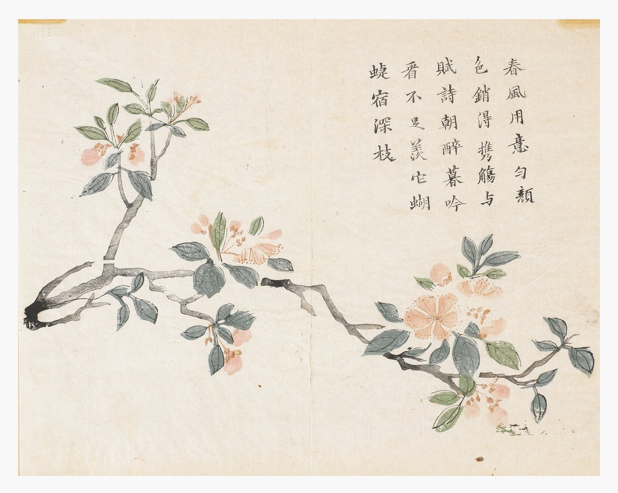 Sinapinsiemenpuutarha tekijältä Chinese School