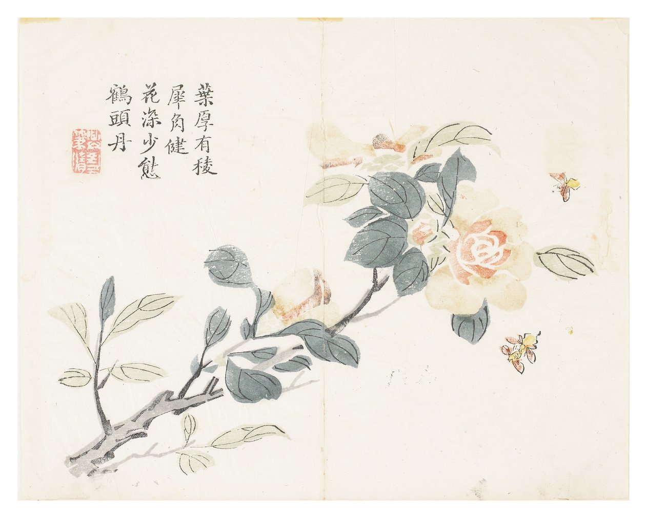 Sinapinsiemenpuutarha tekijältä Chinese School