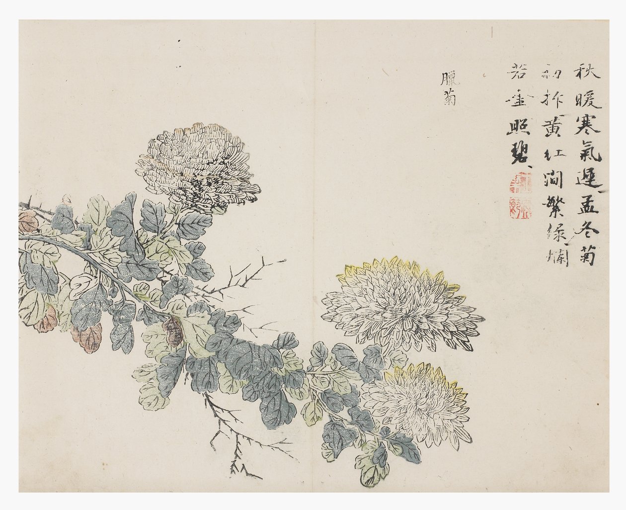 Sinapinsiemenpuutarha tekijältä Chinese School