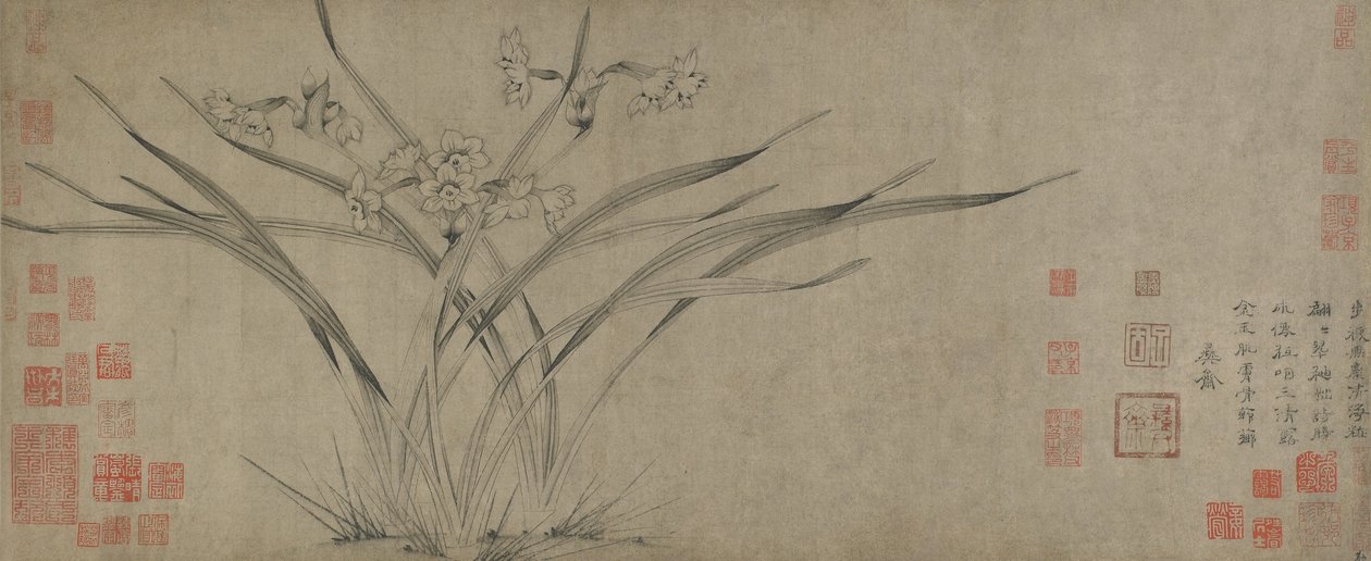 Narcissus, Song-dynastia (muste paperille) tekijältä Chinese School