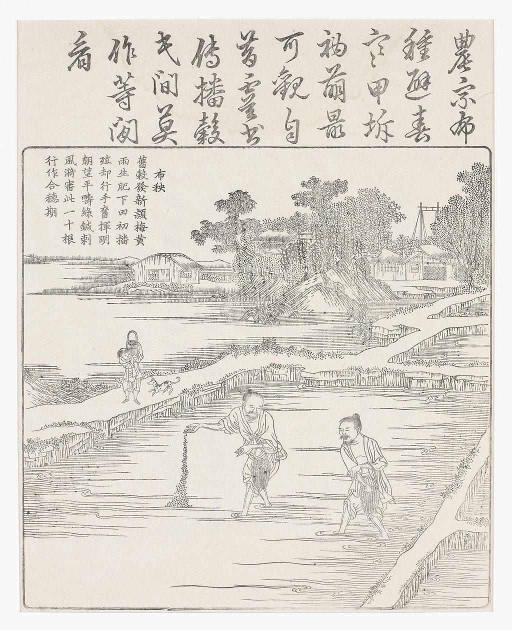 Riisin kylvö siemenpetiin., 1700-luku tekijältä Chinese School