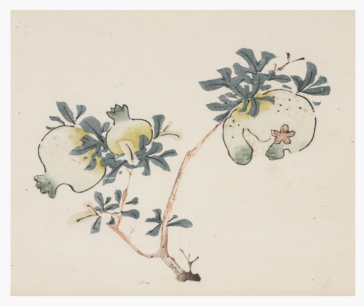 Ten Bamboo -sarja, 1700-luku tekijältä Chinese School