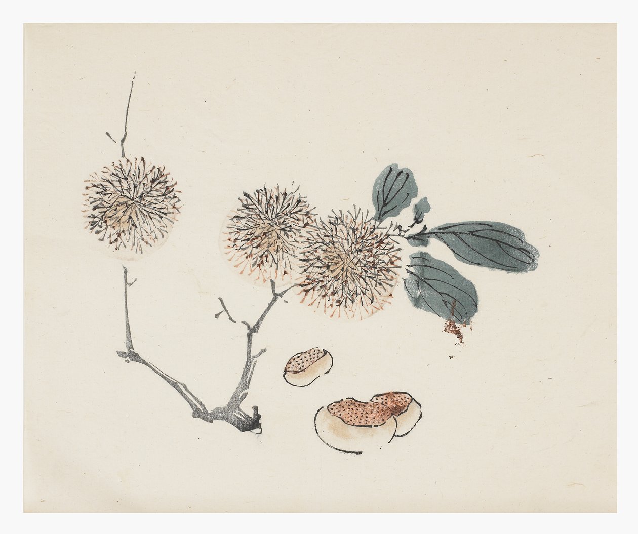 Ten Bamboo -sarja, 1700-luku tekijältä Chinese School
