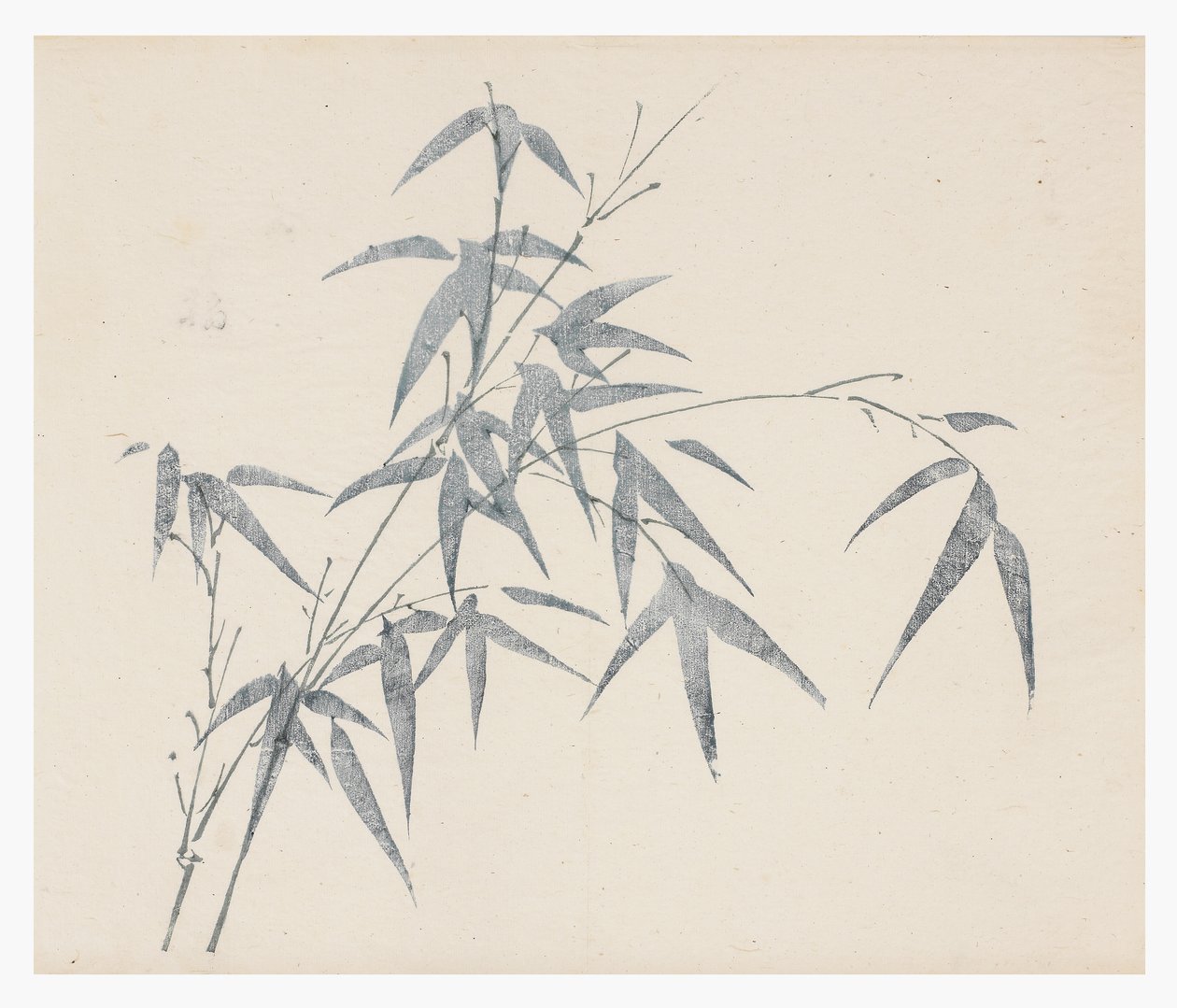Ten Bamboo -sarja, 1700-luku tekijältä Chinese School