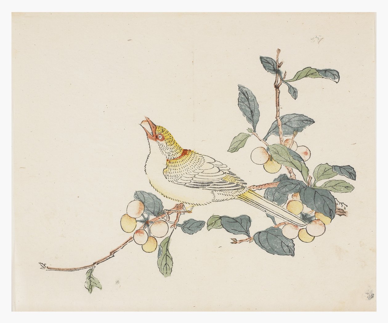 Ten Bamboo -sarja, 1700-luku tekijältä Chinese School