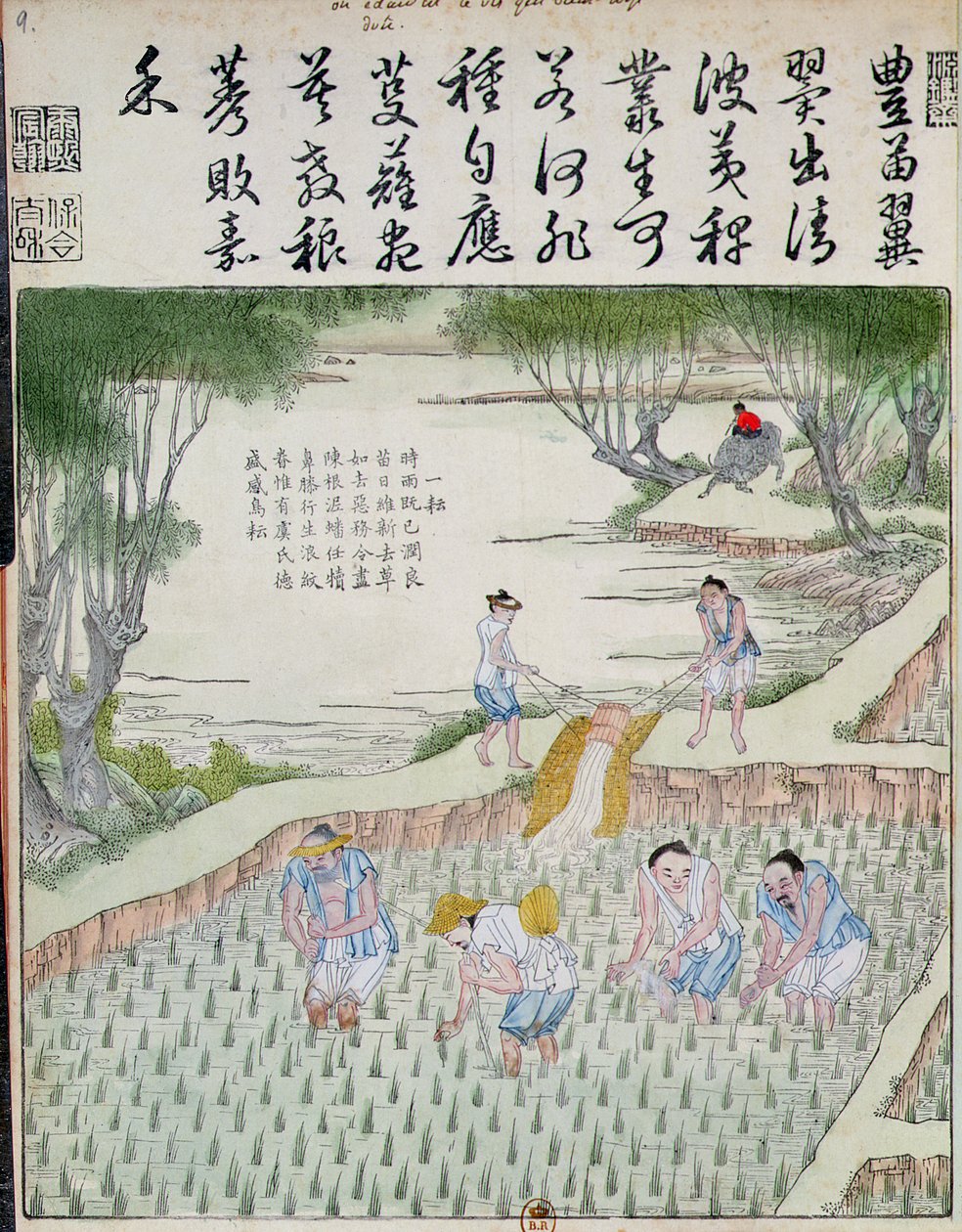 Kiinnitys, riisikulttuuri Kiinassa (värillinen puupainatus) tekijältä Chinese School