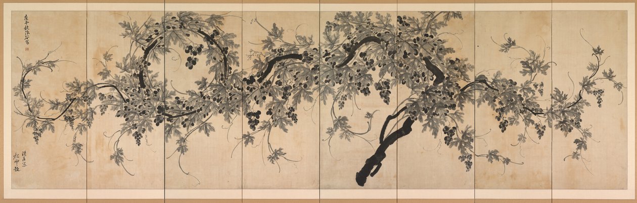 Grapevine tekijältä Choe Seok hwan