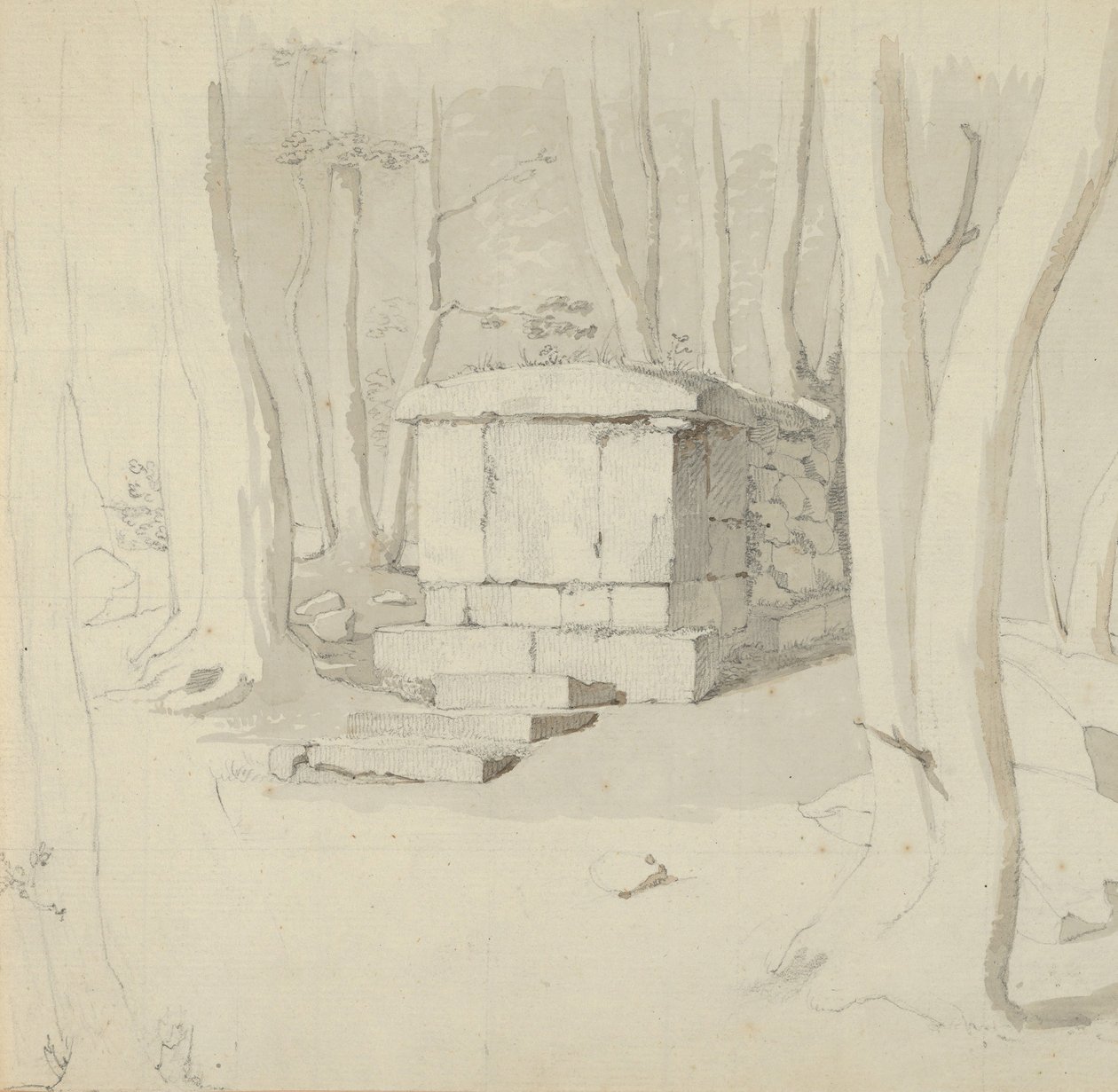 Kivihauta metsässä, verso: Study of a Flower, 1830. tekijältä Christen Købke