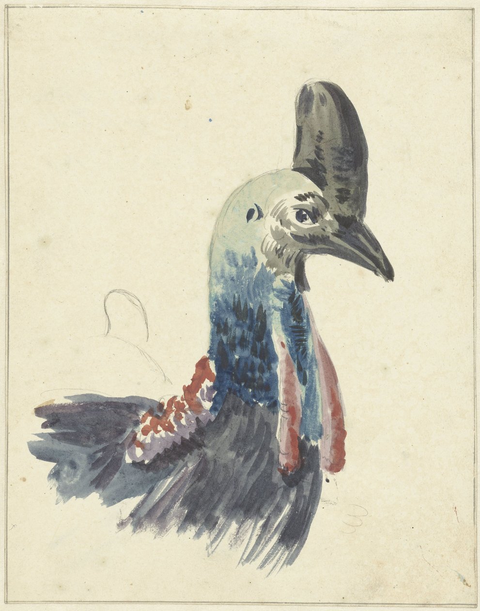Kop van de Kasuaris, aquarel tekijältä Christiaan van Geelen