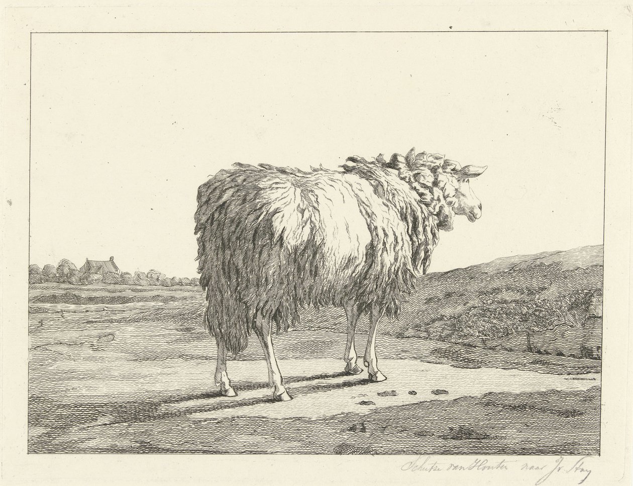 Lampaat maisemassa tekijältä Christiaan Godfried Schutze van Houten